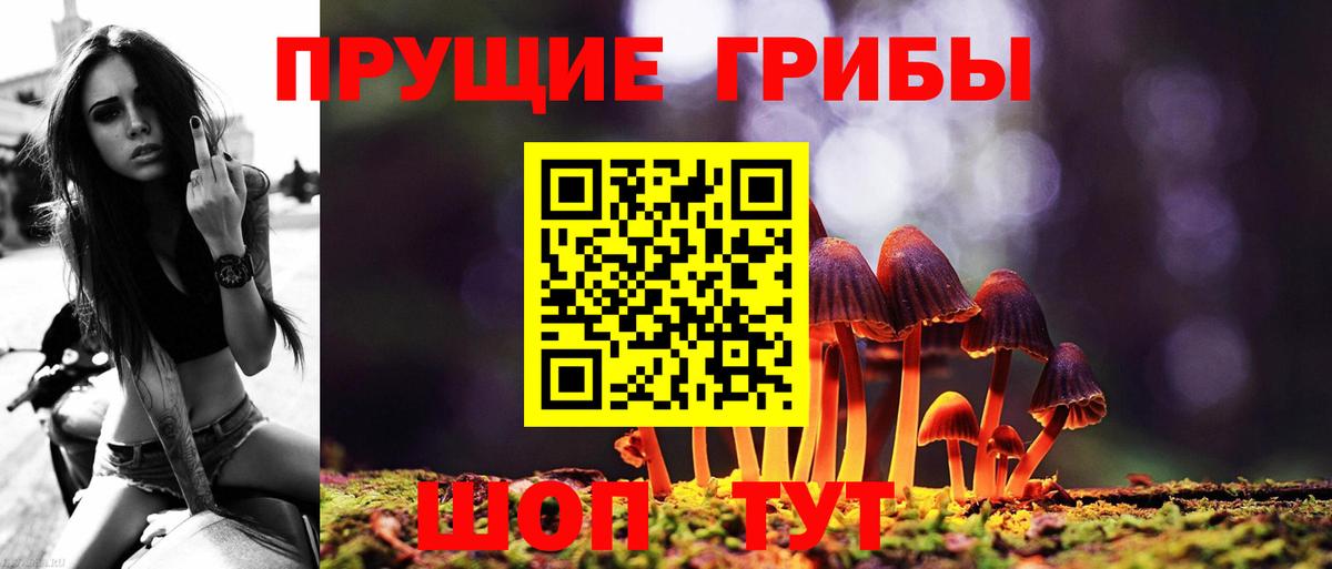 Куйбышев  цена наркотик  Вход с VPN  Галлюциногенные грибы прущие грибы  Псилоцибиновые грибы GOLDEN TEACHER 